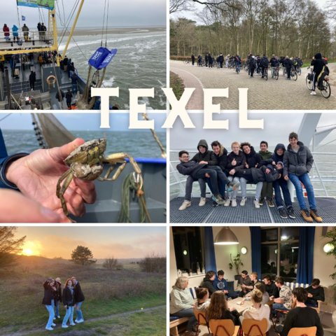 texel