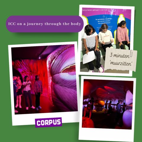 ICC on a journey through the body