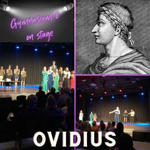 Gymnasium 6 on stage