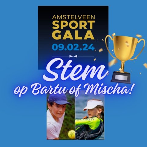 Stem op Mischa of Bartu