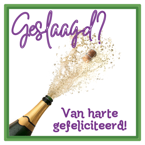 Geslaagd Instagram-bericht Vierkant jpg