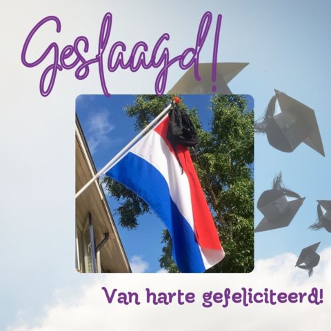 Geslaagd Instagram-bericht Vierkant na her