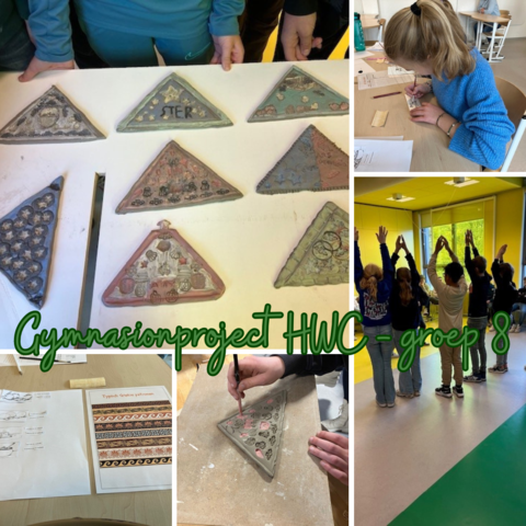 Gymnasionproject HWC - POVO