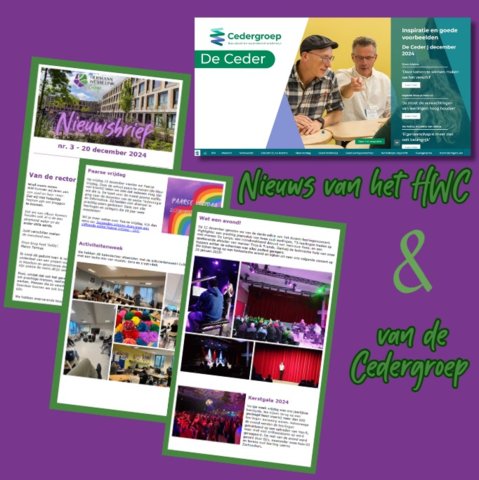 Schermafbeelding 2025-01-08 114259