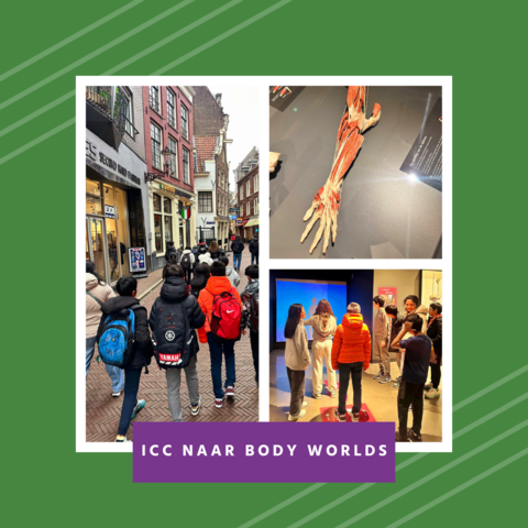 ICC naar body worlds