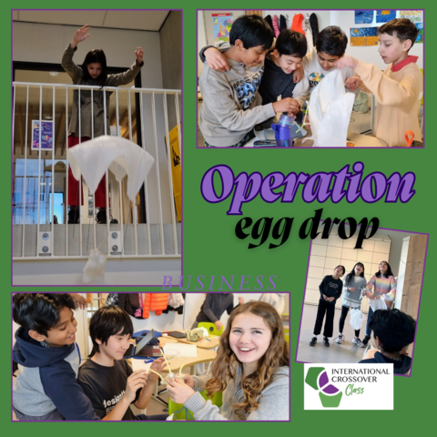 ICC Operation egg dropp
